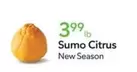 Sumo Citrus