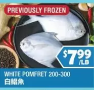 Frozen - WHITE POMFRET 200-300