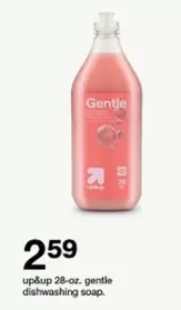 Gentle Dishwashing Soap