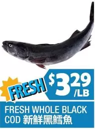 FRESH WHOLE BLACK COD 新鮮黑鱈魚
