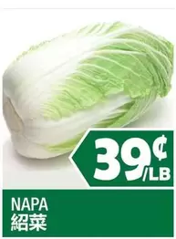 NAPA 紹菜