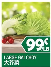 LARGE GAI CHOY