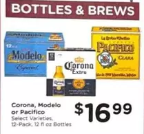 Pacifico - Corona, Modelo or