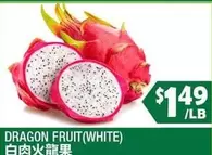 DRAGON FRUIT(WHITE)