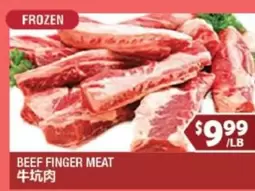 Frozen - BEEF FINGER MEAT