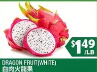 DRAGON FRUIT (WHITE)