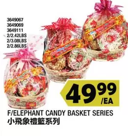 ELEPHANT CANDY BASKET SERIES