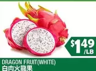 DRAGON FRUIT(WHITE)