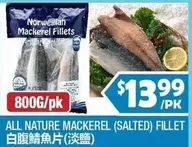 all - MACKEREL (SALTED) FILLET