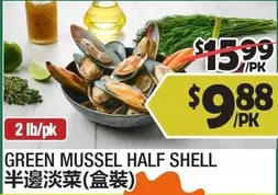 GREEN MUSSEL HALF SHELL