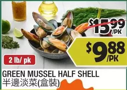 GREEN MUSSEL HALF SHELL