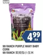 PURPLE WAXY BABY CORN