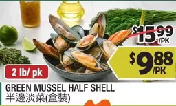 GREEN MUSSEL HALF SHELL