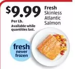 Frozen - Skinless Atlantic Salmon
