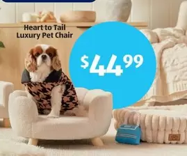 Pet  - Luxury Chair