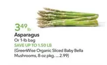 Bella - Asparagus