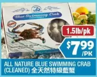 all - BLUE SWIMMING CRAB
