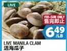 LIVE MANILA CLAM