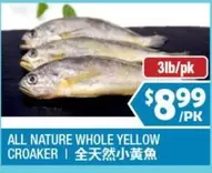 all - ALL NATURE WHOLE YELLOW CROAKER