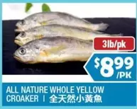 all - WHOLE YELLOW CROAKER