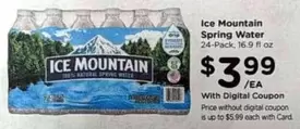 Ice Mountain - Spring Water