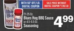 BBQ Sauce or Seasoning