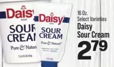 Daisy - Sour Cream