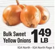 Bulk Sweet Yellow Onions