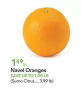 Navel Oranges