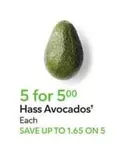 Hass Avocados