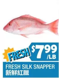 Silk - FRESH SILK SNAPPER