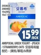 GREEK YOGURT - (PEACH / STRAWBERRY) OATS