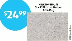 Plush - 5' x 7'  or Berber Area Rug