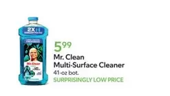 Mr. Clean - Multi-Surface Cleaner