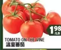 TOMATO ON THE VINE
