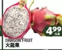 DRAGON FRUIT