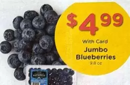 Jumbo Blueberries
