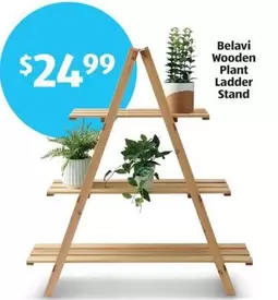 Wooden Plant Ladder Stand