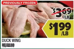 Frozen - DUCK WING