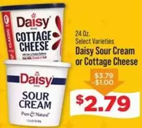 Daisy - Sour Cream or Cottage Cheese