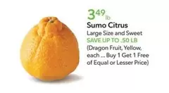 Sumo Citrus