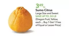 Sumo Citrus