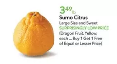 Sumo Citrus