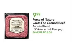 Grass Fed Ground Beef