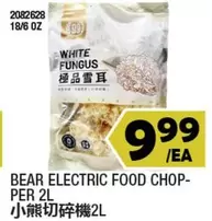 WHITE FUNGUS