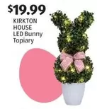 LED Bunny Topiary