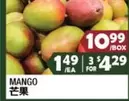 MANGO
芒果