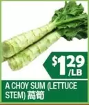 A CHOY SUM (LETTUCE STEM) 高筍