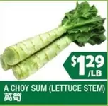 A CHOY SUM (LETTUCE STEM)