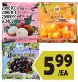 2090100, 2090101, 2090099